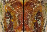 Tall, Red And Yellow Jasper Bookends - Marston Ranch, Oregon #180256-1